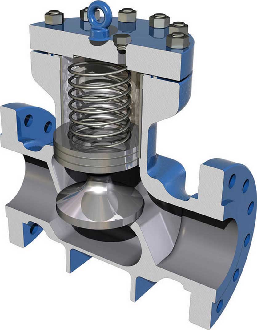 Piston Check Valve (cross section)