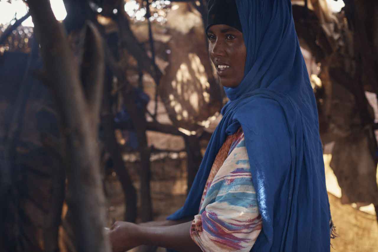 Extreme drought in Somaliland