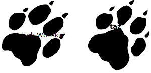 Jack Wolfskin Logo / taz logo