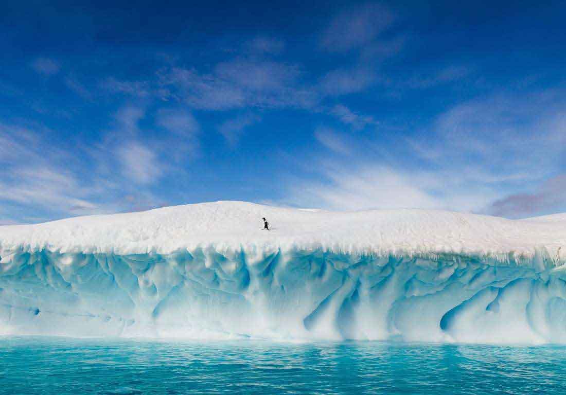Iceberg Brown Bluff, northern Antarctic Peninsula
