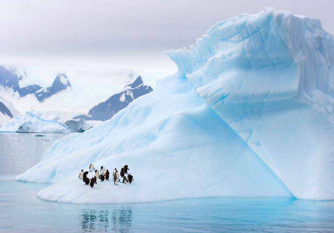 Iceberg Western Antarctic Peninsula