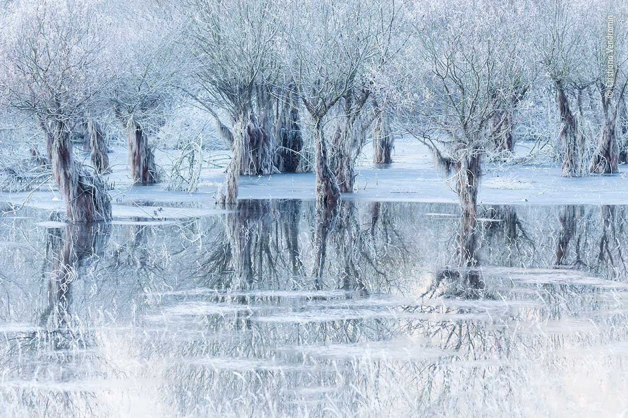 Icy Winter Scene of an Italian Lake