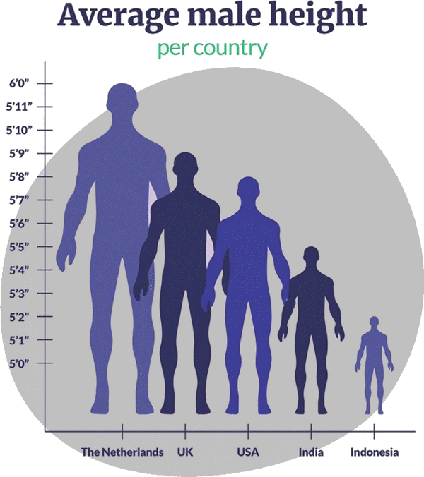 The Dutch are the tallest people in the world