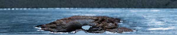 Pitting corrosion image one