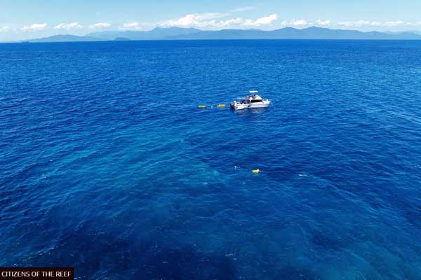 The Great Reef Census involves more than 100 vesselsReef