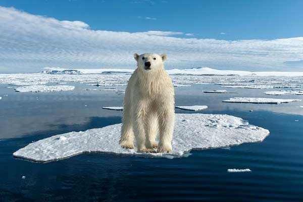 What is the coldest place on Earth?