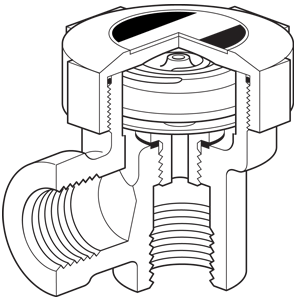 Balanced pressure steam trap with replaceable capsule