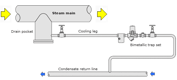 Bimetallic steam trap with cooling leg