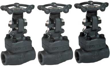 ASTM A105 Valves